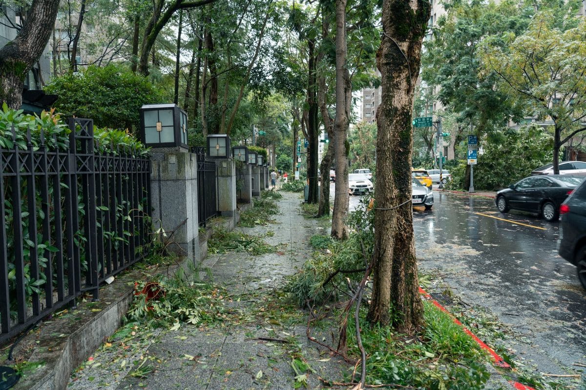 Who Calls the Day Off? How Hong Kong, Taipei and Tokyo Each Stop a City for a Typhoon