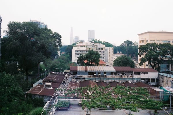 Someone Has to Carry the Soil Up: The Real Work Behind Asia's Rooftop Farming Boom