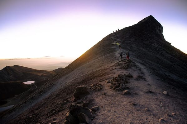 The Trail Before the Timesheet: How Pre-Dawn Hiking Became East Asia's Real Office Hours